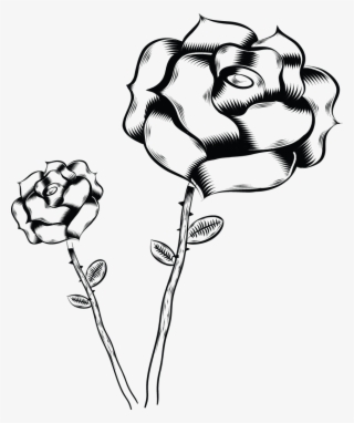 851 X 1017 1 - Flower #8277872