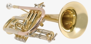 Instrumentos De Banda Png #8281392