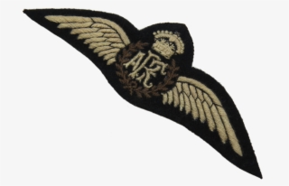 Bald Eagle #8282118 Bald Eagle #8282118