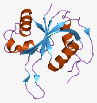 Pdb 2zbn Ebi #8283777