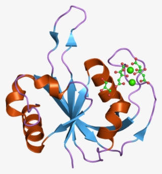Pdb 2hd9 Ebi - Illustration #8284067