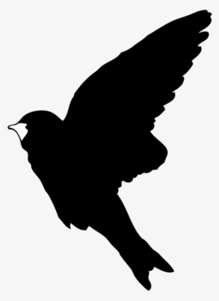 Rorschach - Vaux S Swift #8285448