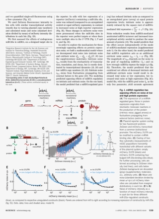 Back Issues - Text Page - Holy Land - The Necropolis #8285860