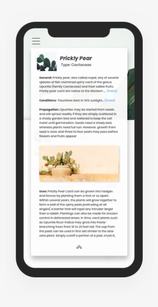 Plant Profile Information #8286114
