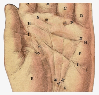 Hand Clipart Vintage - Pamistri Png #8287513