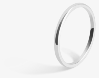 Titanium Ring #8291039