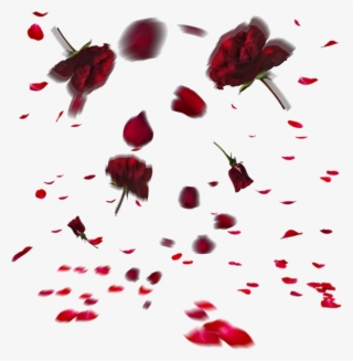 Rose Sticker - Portable Network Graphics #8291379