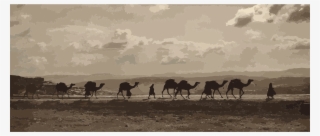 This Free Icons Png Design Of Egyptian Camel Transport3 #8292540