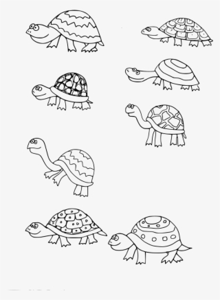 Download Png - ภาพ วาด เต่า การ์ตูน #8292612