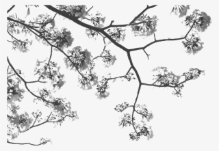 Bella And Edward Lockscreen #8293413