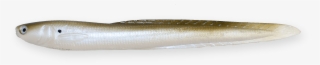 Green Shad - Lunge #8293817