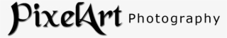 Calligraphy #8295069