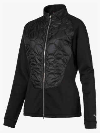 Images - Coat #8295536