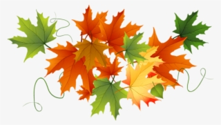 Free Png Download Autumn Transparent Leaves Clipart - Fall Leaves No Background #8296214