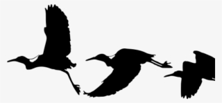 Migration Clipart Flying Bird - Drawing Birds Silhouette Flying #8297392