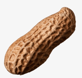 Sunflower Seeds Fried Corn Peanuts - Cacahuete Png #8299041