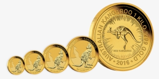 The Australian Lunar Gold Coin Series Ii Featuring - New Australian Coins 2019 #8299282