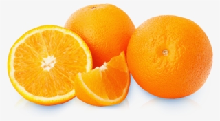 Minneola Tangelo #8299448