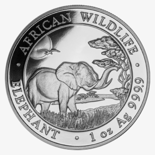 2019 Somalian Elephant 1oz Silver Coin - Elephant Coin #8299627