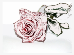 How To Set Use Winter Rose Clipart #830026