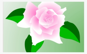Free Rose Vector, Download Free Clip Art, Free Clip - Pink Rose Clip Art #830286
