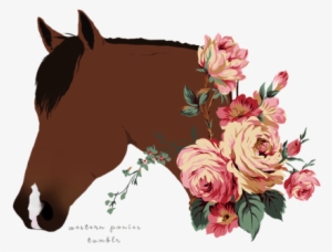 Png Horse #830542