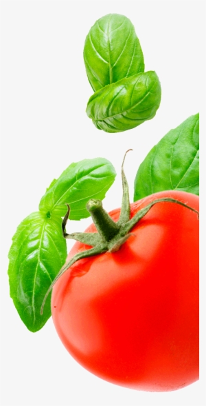 Afbeelding Rechts - Tomato And Basil Png #831639