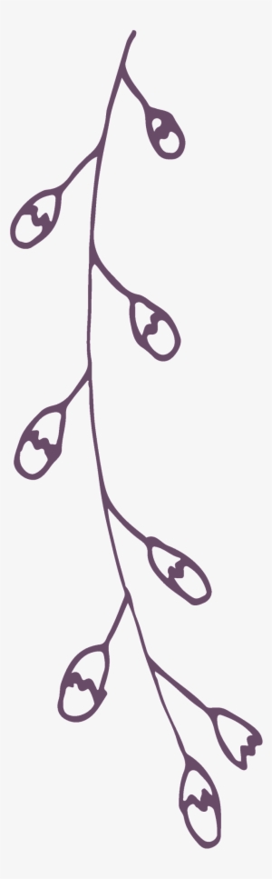 Simple And Elegant Lines Of Transparent Decorative - Flower #832225