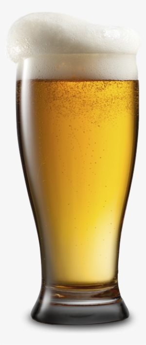 Wheat Transparent Beer #832333 Wheat Transparent Beer #832333