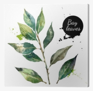 Kitchen Herbs And Spices Banner - Watercolor Painting #832378