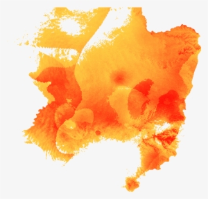 31 Pm 15505 Pr Ipom Gran02 12/4/2007 - Illustration #832953