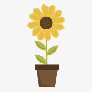 Sunflower In Pot Svg Scrapbook Title Sunflower Svg - Sunflower In A Pot Clipart #833524