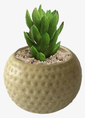 Matte Finished Dotted Ceramic Pot - Small Plant Pot Png #833549