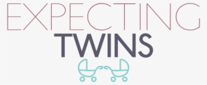 Having Twins Is A Lifechanging Moment - We Are Expecting Twins #833588