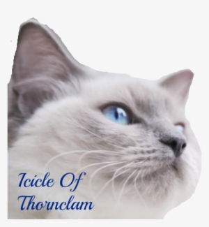 Icicle - Webbox Lick-e-lix Liver #833665