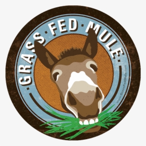 Be A Good Mule - Grass Fed Mule #835116