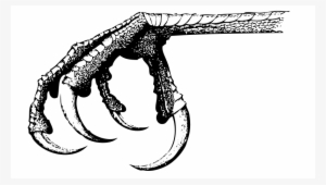 Medium Image - Claw Png #835397