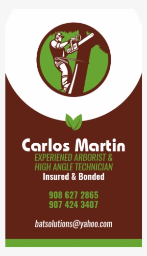 Business Cards - Arborist Tree Surgeon Trimm Square Sticker 3" X 3" #835913