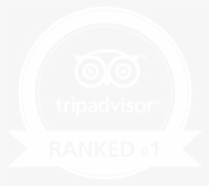 Trip Advisor Reviews - Trip Advisor #836413