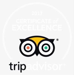 2017 Coe Logos Green Bkg Translations En Us Uk - Listerine Pocketmist Cool Mint, 2 Count #836476