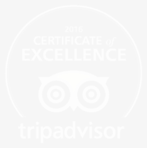 Awards - Trip Advisor #836644