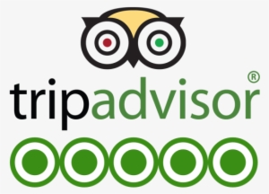 Tripadvisor-logo #836762