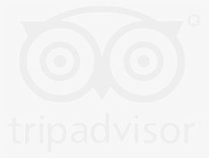 Tripadvisor-01 - Trip Advisor #837053