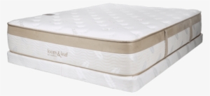 Free Mattress Removal - Mattress #838222