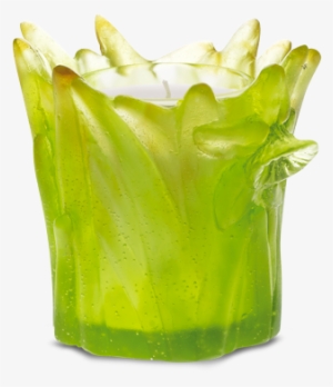 Daffodils Candle - Jonquille #838781