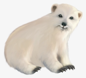Polar White Bear Png - Png Baby Polar Bear #838883