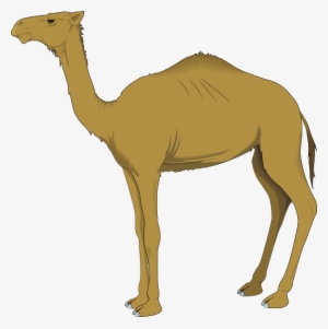 You Can Use These Free Bear Cliparts For Your Documents, - Camel Clipart Png #839031