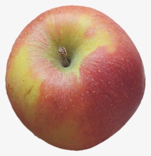 More Free Thanksgiving Graphics - York #839250