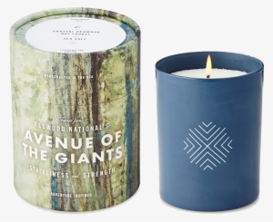 Ethics Supply Candle | Redwood National's Avenue #839320