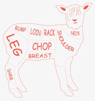 Lamb Loin Roast/saddle - Cartoon #8300325